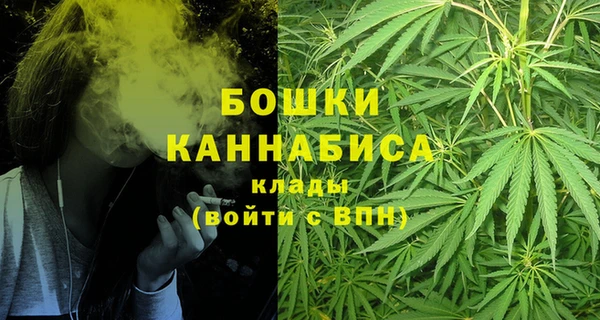 сатива Абинск