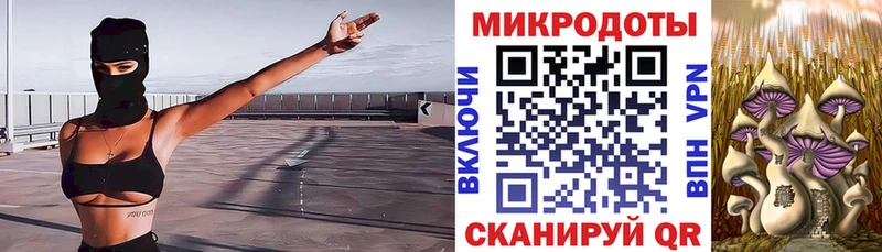 где можно купить   Покачи  ссылка на мегу как войти  Псилоцибиновые грибы MAGIC MUSHROOMS 